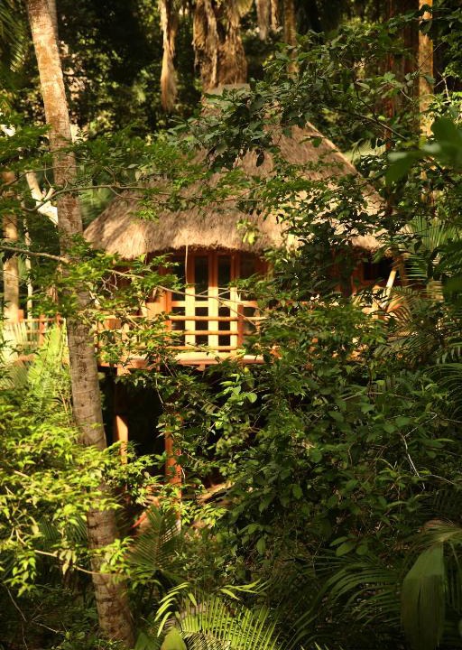 San Francisco Cabin | Aldea Bambú
