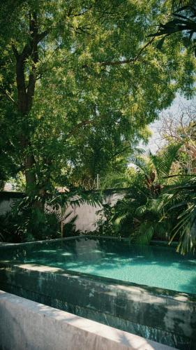 Centro House | Artos Hostel