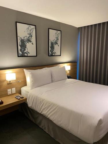 Merida Hotel | B's Suites Mérida
