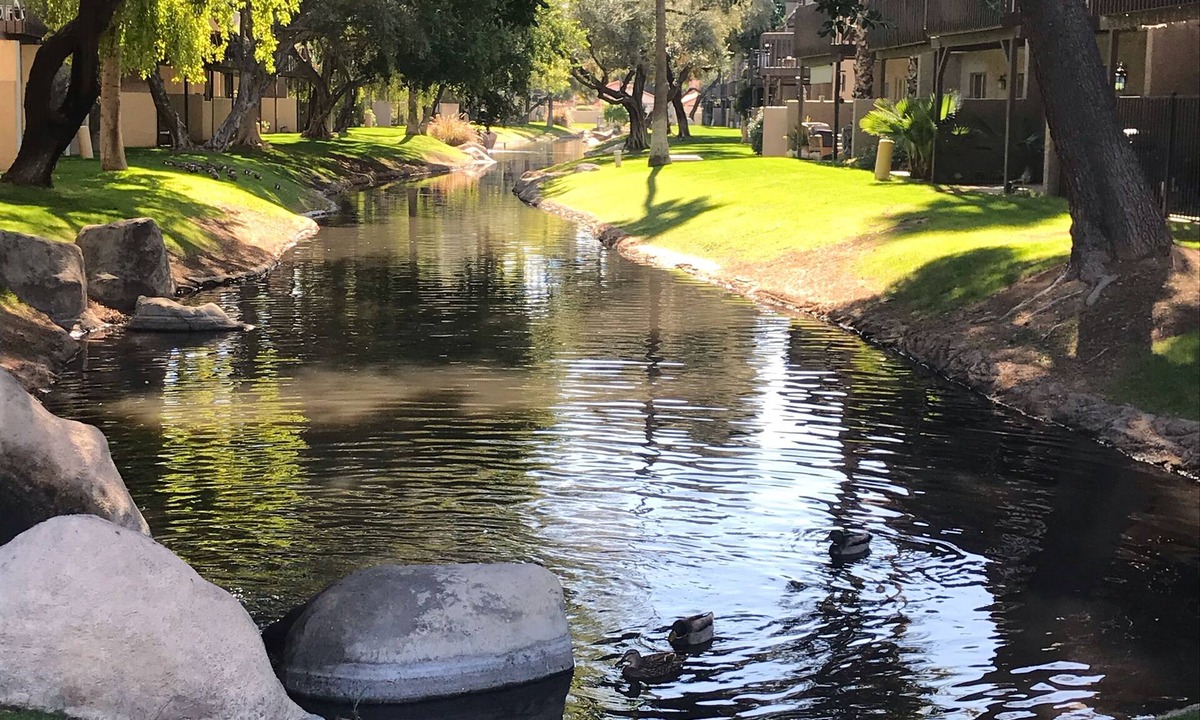 Dobson Ranch House | Beautiful Townhome on the water