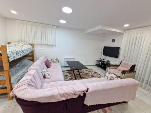 Up 1.5 Saint-Ferreol Apartment | besac studio between city center and Minjoz Hospital