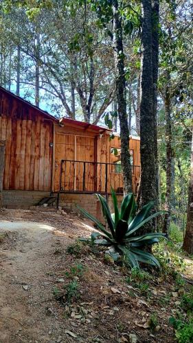 San Jose del Pacifico Ski Chalet | Cabaña Nido de Niebla en San José del Pacífico