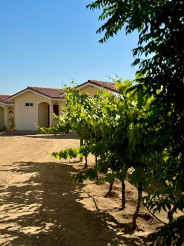 San Antonio de las Minas Cabin | Cabañas Colibri