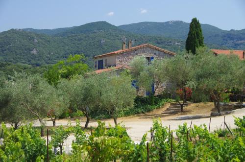 Sartene Apartment | Casa Erbaggio