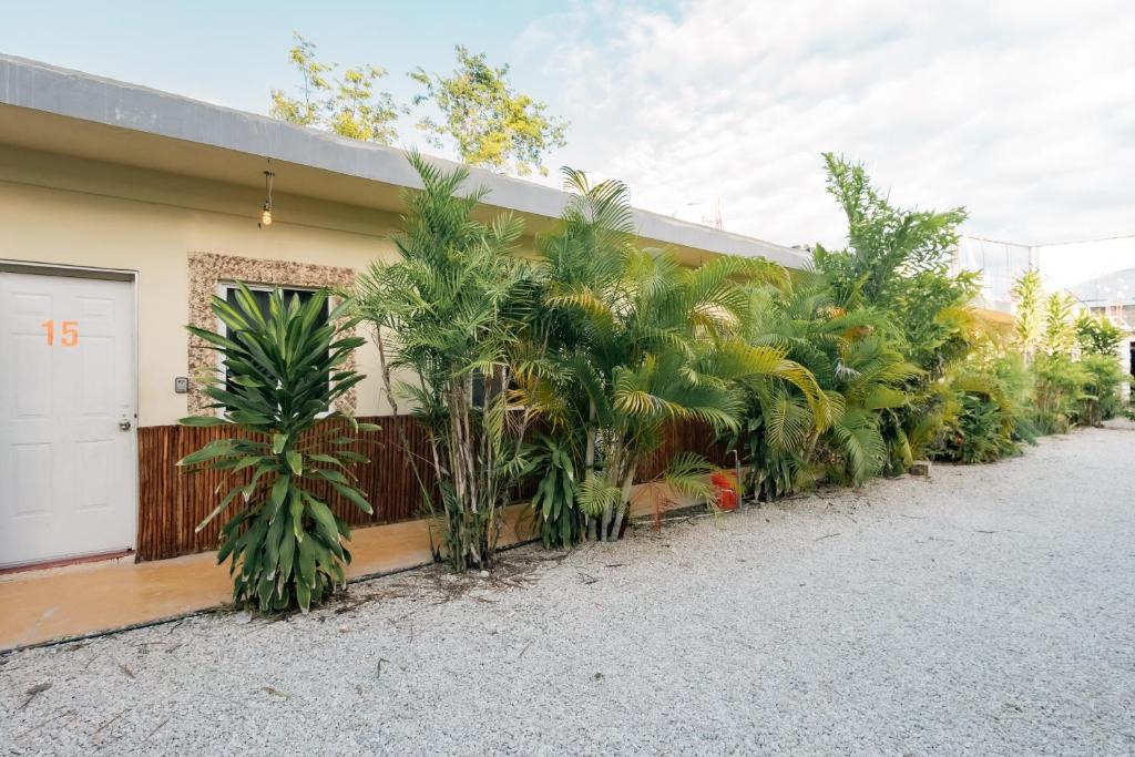 Bacalar House | Casa Shalom Green