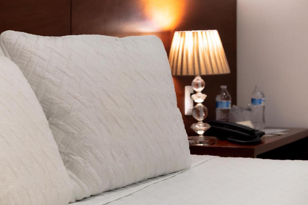Zona Centro Hotel | El Navegante