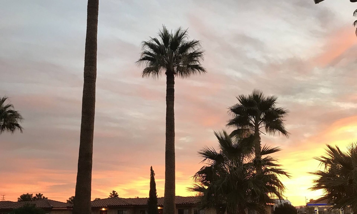 Twentynine Palms Hotel | El Rancho Dolores Motel at Joshua Tree National Park