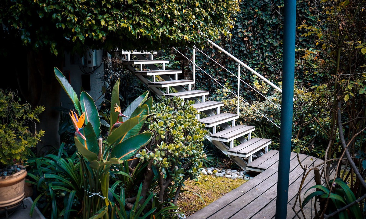 Del Carmen Hotel | Hostal Cuija Coyoacán