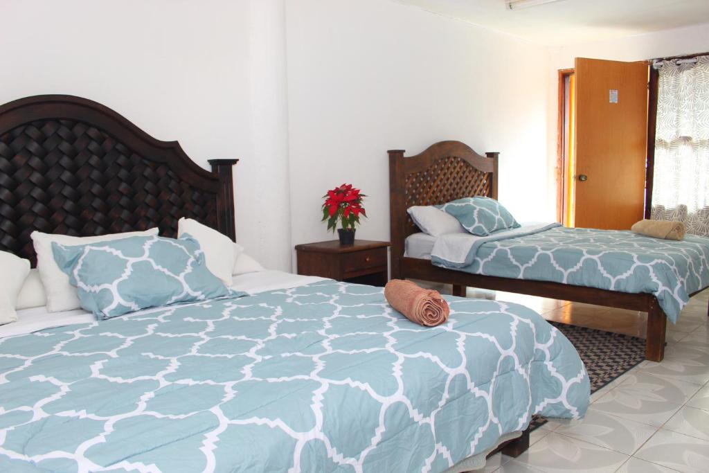 San Cristobal de las Casas Hotel | Hotel Alejandra