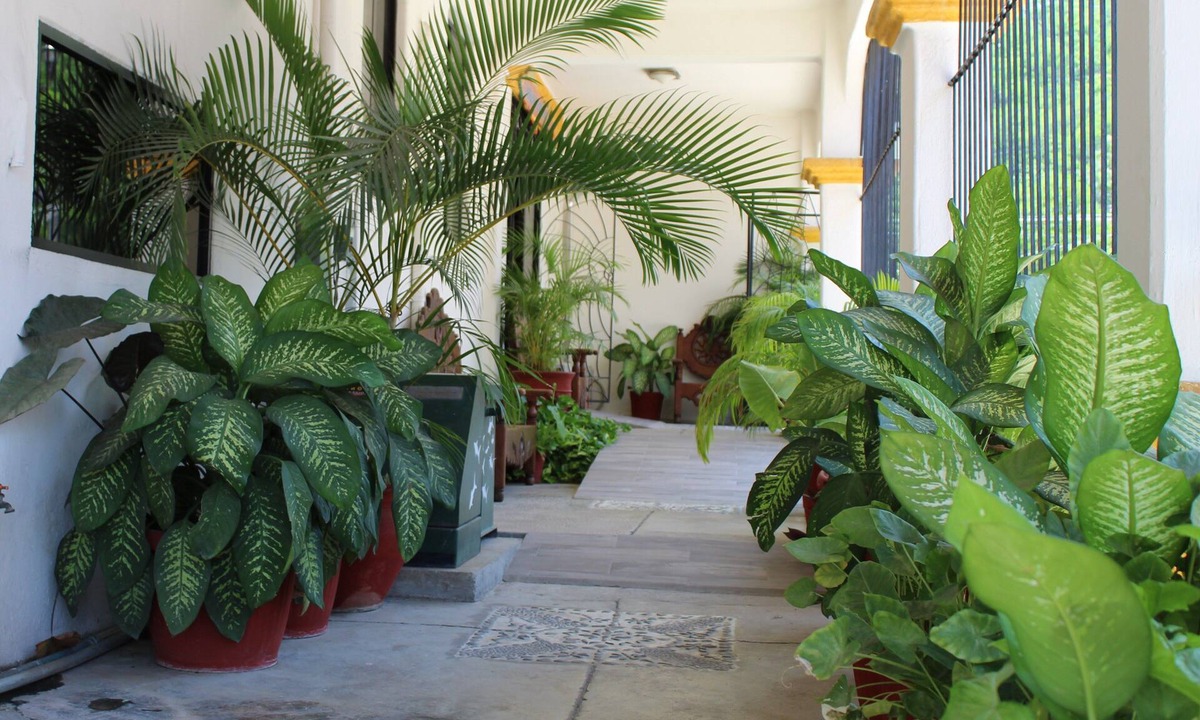 Crucecita Hotel | Hotel Arrecife Plus