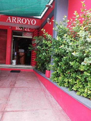 Campeche Hotel | Hotel Arroyo