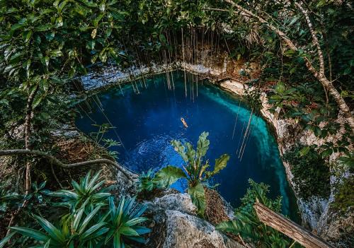 Valladolid Hotel | Hotel Boutique Cenote Secreto Maya
