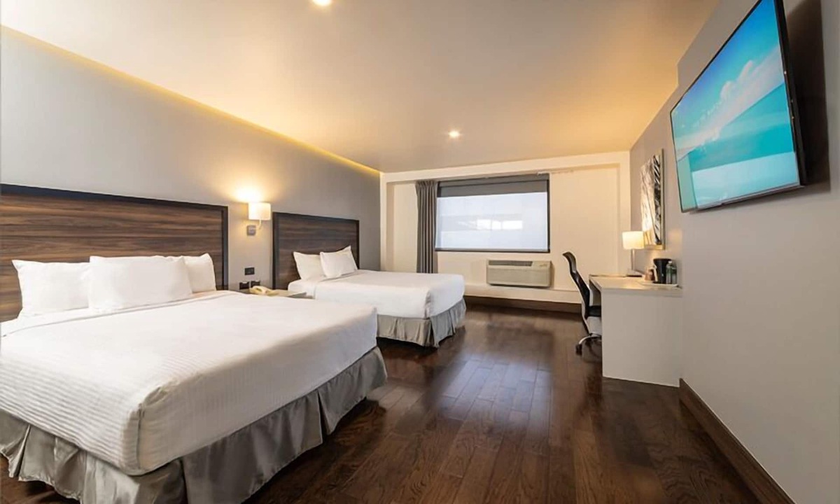 Chihuahua Hotel | Hotel Chihuahua San Francisco