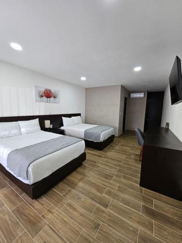 Alvaro Obregon Hotel | Hotel Ejecutivo Aeropuerto
