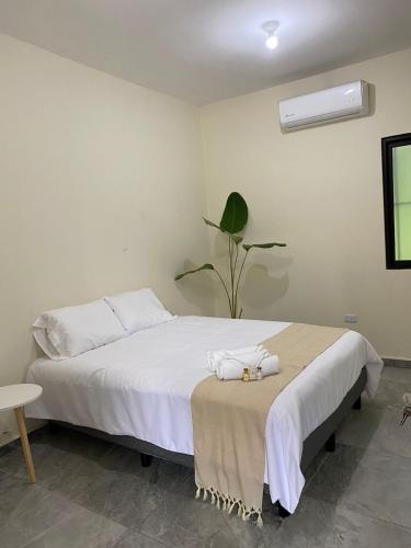 Cunduacan Hotel | Hotel La Isla