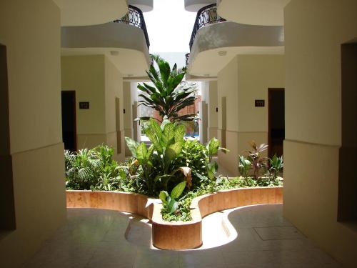 Zona Centro Hotel | Hotel Lopez Campeche