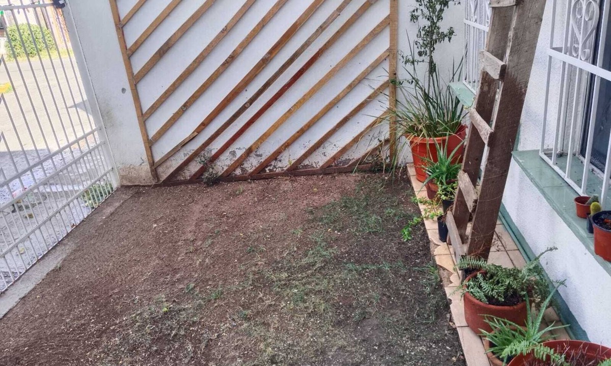 Chihuahua House | HOUSE FOR VACATION AND/OR WORK STAY