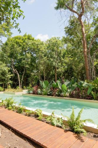 Othon P. Blanco Villa | Luxury Penthouse, Rooftop Pool and Lagoon