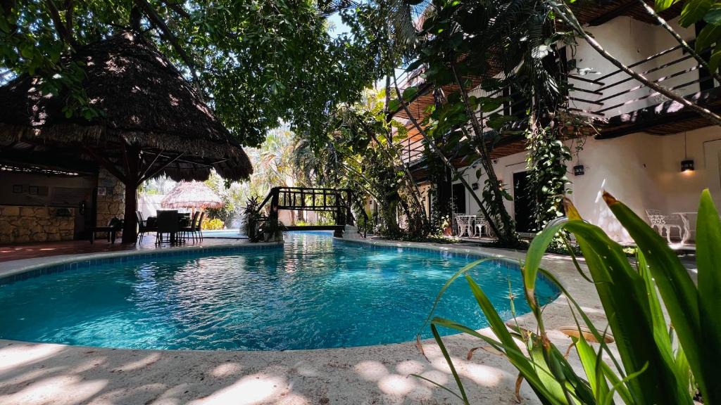 Gonzalo Guerrero Hotel | MAYAN ART Hotel Boutique - 10Th Ave