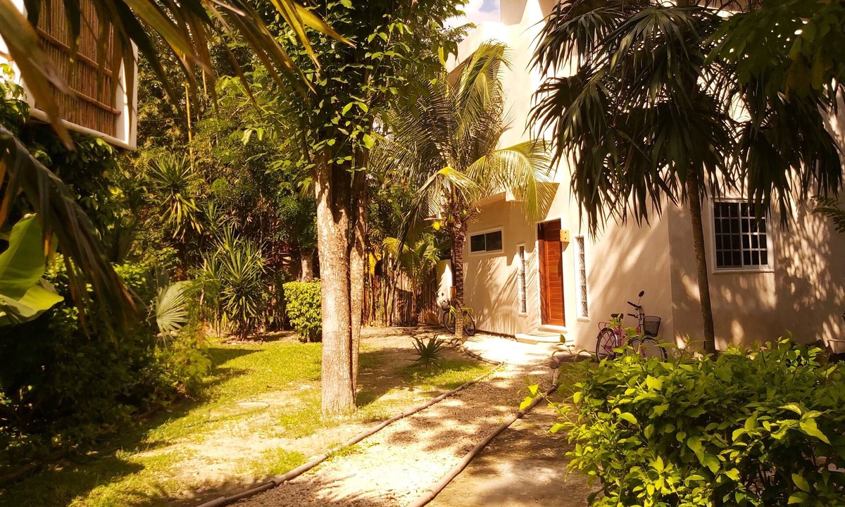 Cozumel House | Mini Pini Birdwatching Loft House