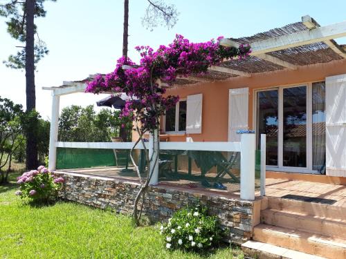 Favone House | Mini Villa à 100m de la mer avec prise de recharge privative 3,6kw