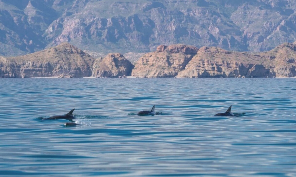 Loreto Villa | Paradise Awaits in Loreto: Luxury, Adventure & Serenity Combined