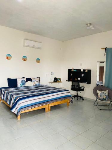Paraiso Apartment | Paraiso Suite Centrico con entrada independiente