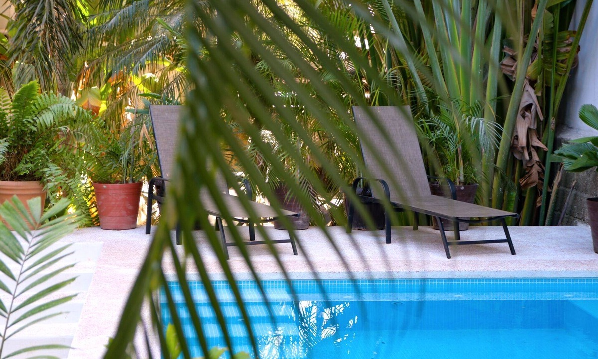 Chacala Bed & Breakfast | Patio Canarias Suites Pet-Friendly