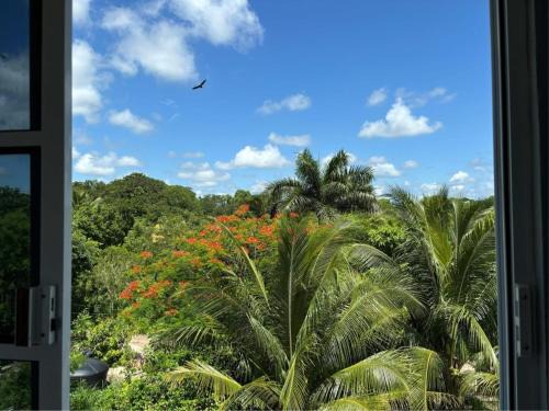 Xul-Ha Apartment | Private Pool Villa Near Bacalar Lagoon