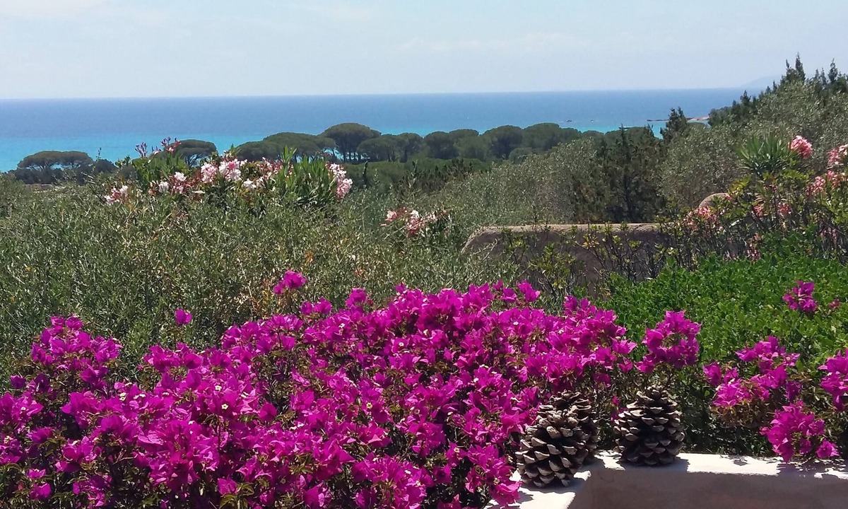 Hameau de Palombaggia House | Renovated beach housePalombaggia on foot180° sea view-protected site