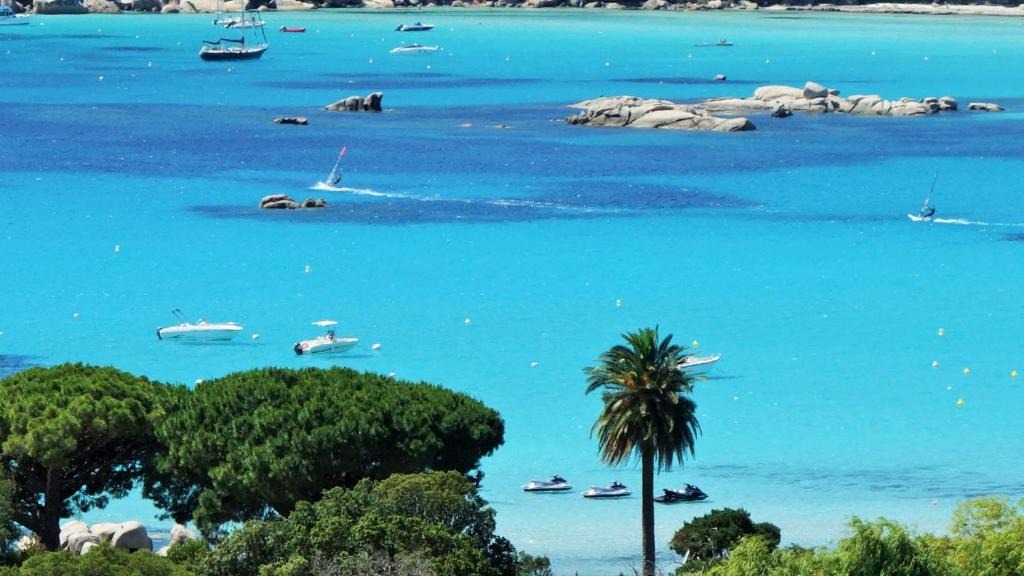 Santa Giulia Apartment | Residence Bellavista à Santa Giulia, proche de la plage et vue mer