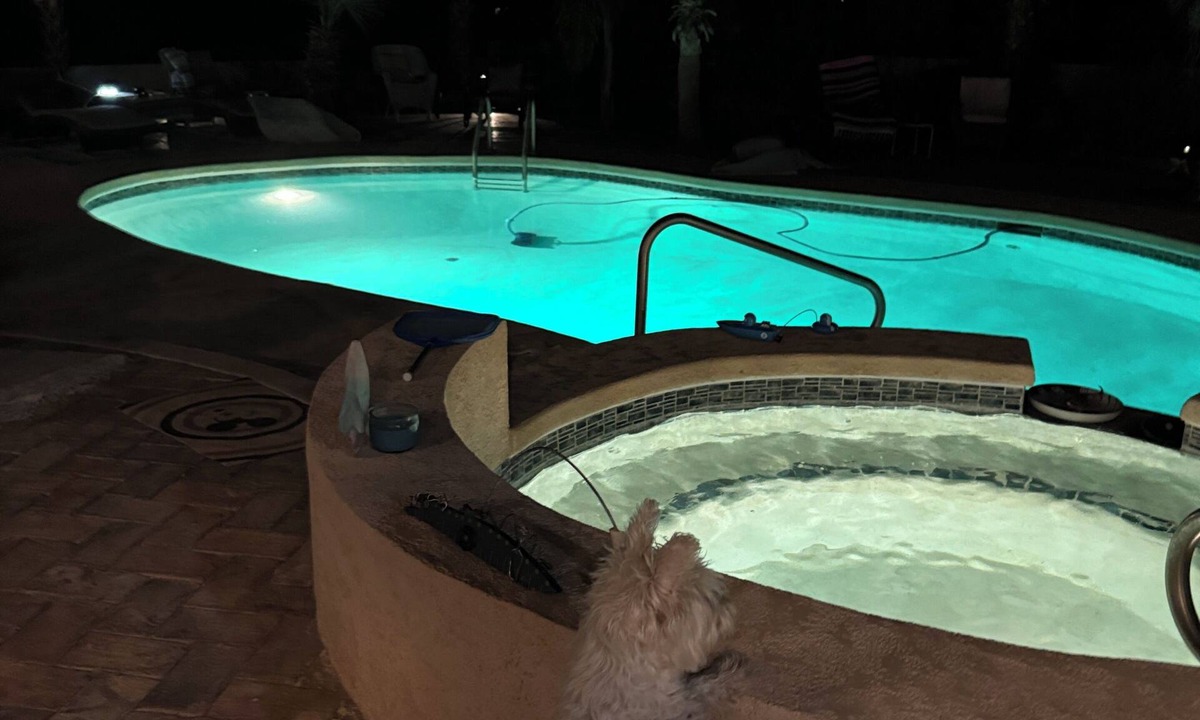 El Dorado Ranch Apartment | Romantic Paradise with Private pool, beautiful studio, breakfast and more!