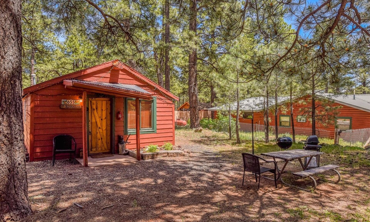 Parks Cabin | Rustic Adventure w/Historic Log Cabin /Forest Views /20 minutes from