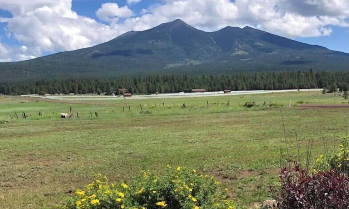 Fort Valley House | Snowmaking is underway, Live, love, SKI!