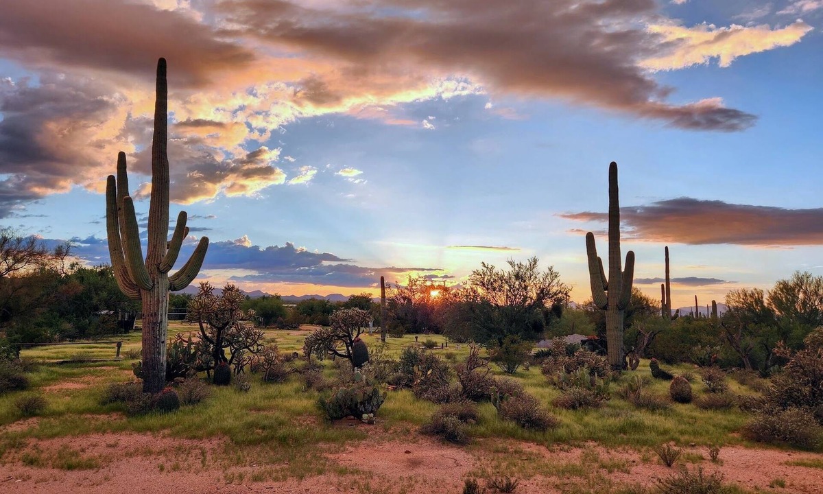 Tucson House | Tucson Desert Oasis Family Home 3BR 2BA on 2 Acres Nature Views Arcade Games