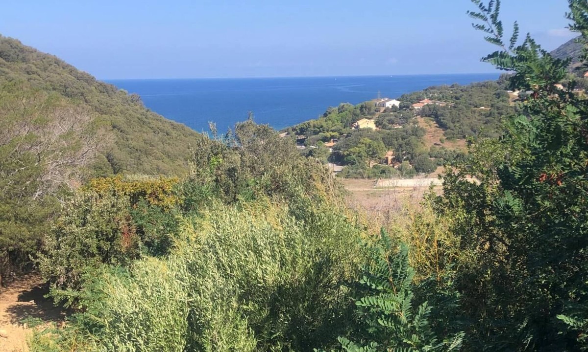 Braccolaccia Villa | Villa Torre Blanca in Farinole