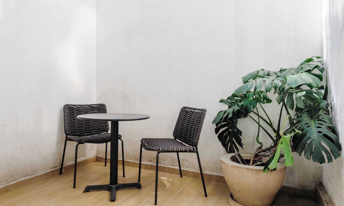 Miguel Hidalgo Apartment | w* | Stylish & Cozy Loft w/Patio in Polanco