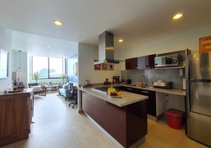 Blue Horse Apartment in New Polanco.