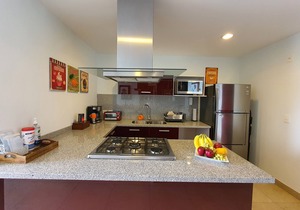 Blue Horse Apartment in New Polanco.