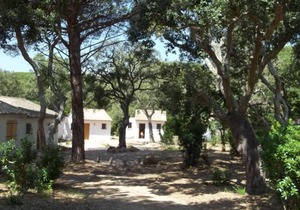 PALOMBAGGIA Air-conditioned studio in the heart of the maquis 700 meters from the beach