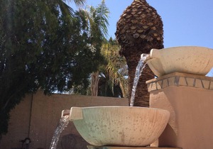 Scottsdale Dream-Owner is Manager