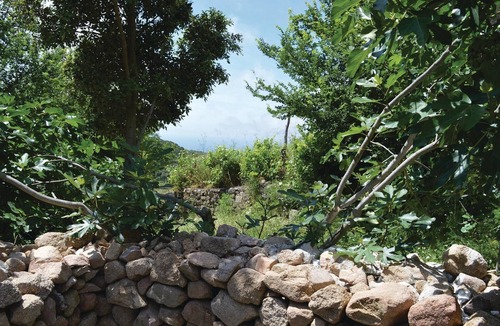 Coti-Chiavari House | 1 bedroom amazing home in Coti-Chiavari