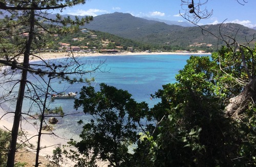 Favone House | 1 Residence Playa del Oro- Favone 3- Three-room apartment on the first floor