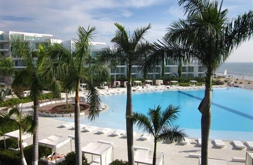 Flamingos Condo | 2 Bedroom Beachfront Condo, Beautiful Ocean and Pool Views