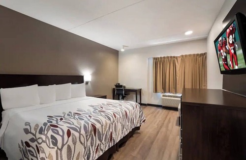 Cortaro Hotel | 2 Scenic Budget Rooms Near Tucson Local Wildlife Spots