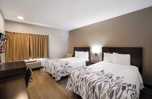 Cortaro Hotel | 2 Units to Relax in a Pet-Friendly Tucson Room Near Golf Courses