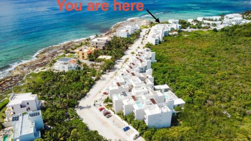 Akumal House | 3 Bedroom Jungle Vibes Condo in Akumal Beach Access Rooftop Pools
