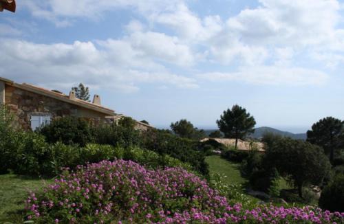Monacia-d'Aullene House | A Machja 17