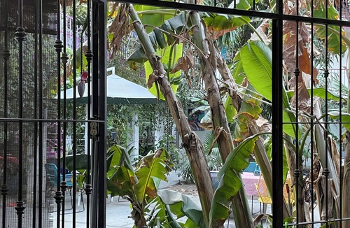 San Jose del Cabo Bed & Breakfast | A Traveler´s place in San José Downtown Core!