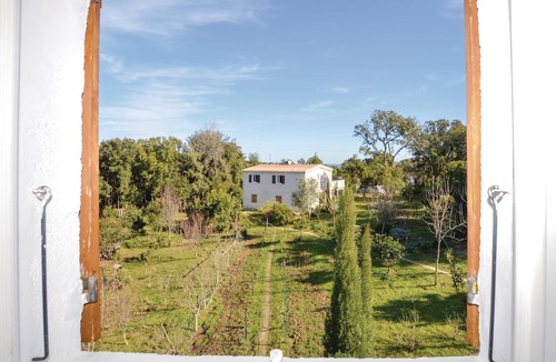 Cervione Apartment | Amazing apartment in Cervione